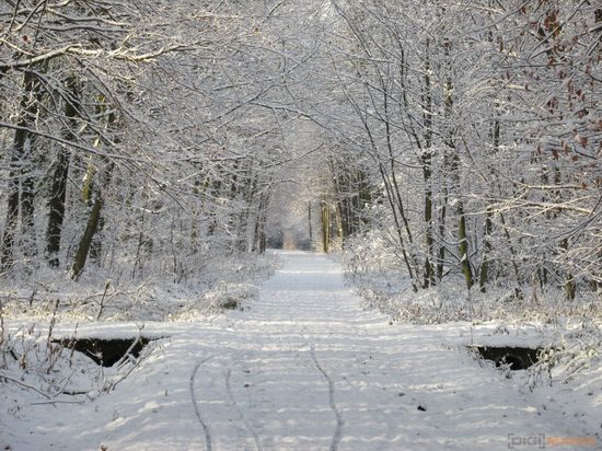 Canon PowerShot SX160 IS: více megapixelů i zoomu