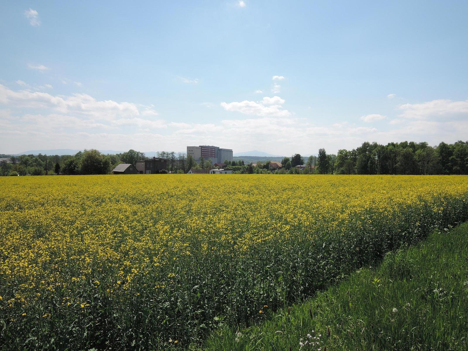 Nikon Coolpix P330: do vyšších sfér