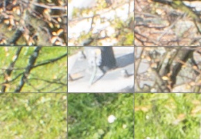 Panasonic Lumix S 24-105mm F4 Macro O.I.S.