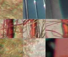 Megatest ultrazoomových objektivů