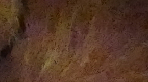 Panasonic Lumix FZ1000: legenda je zpátky