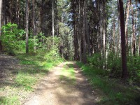 Konica Minolta Dimage E50 - pro každého něco...