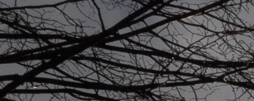 Panasonic Leica DG Vario-Summilux 10-25mm F1.7 ASPH.