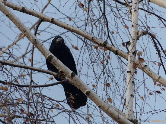 Panasonic Lumix FZ200: ultrazoomové překvapení roku