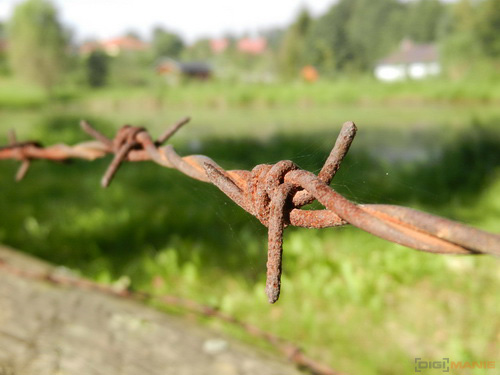 Nikon Coolpix S9100: rudý bojovník