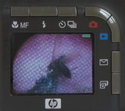 HP Photosmart R707: Šikovný kompakt v nezvyklém balení