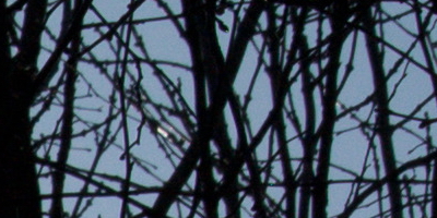 Nikon 1 NIKKOR 30-110mm 1:3,8-5,6 VR