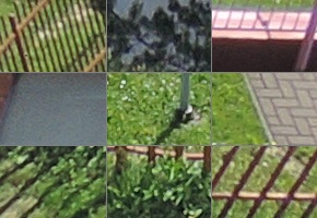 Nikon Coolpix P330: do vyšších sfér