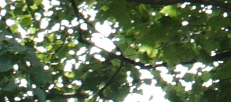 Olympus OM Zuiko 28mm f/2.8 (OM)