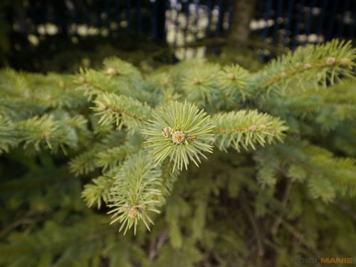 Panasonic LUMIX G VARIO 7-14mm F4.0