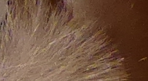 Panasonic Lumix TZ70: krůček k profi ultrazoomu