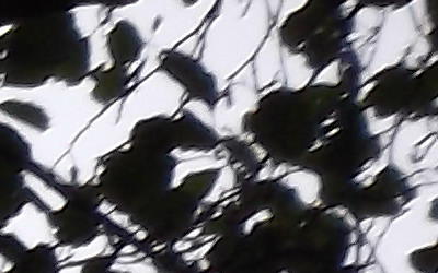 Fujifilm FinePix T200: nejlevnější ultrazoom Fuji