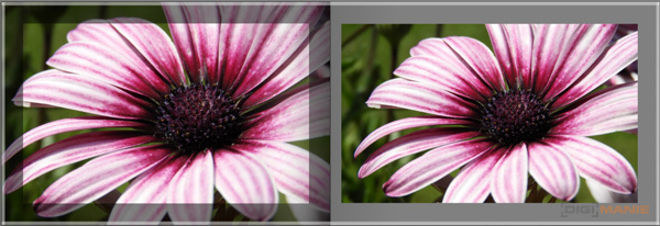 Fotokniha od Zoneru: uchovejte si své vzpomínky