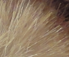 Sony Cyber-shot WX5: kompaktní klenot