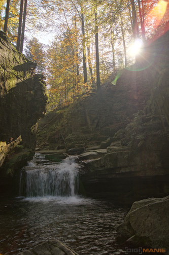 Sony SLT-A33: přesvědčivý revolucionář