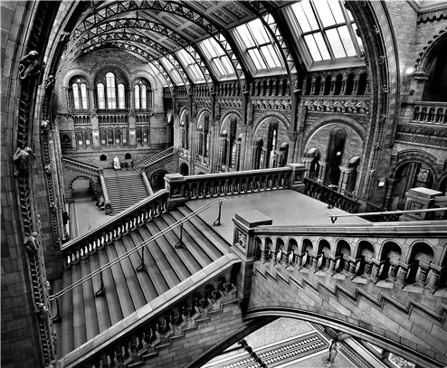 Sony vyhlásilo vítěze World Photography Awards 2011