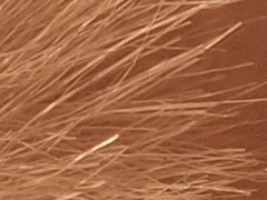 Olympus PEN E-PL2: PEN počtvrté a zase lépe