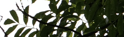 Panasonic Lumix S Pro 70-200mm F4 O.I.S.