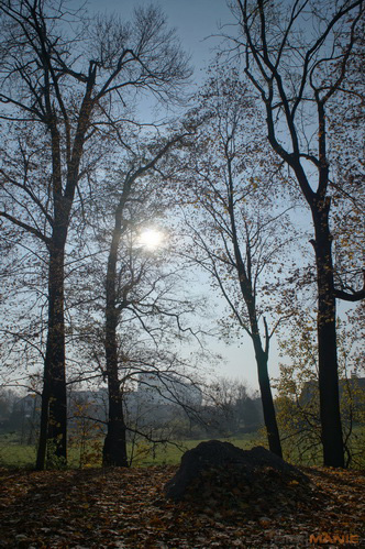 Sony NEX-C3: drobek s velkým srdcem