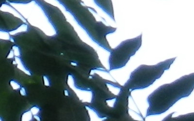 Nikon Coolpix P500: univerzální dalekohled