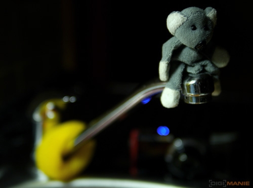 Fotíme s Koalou: Clona