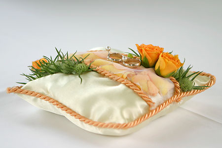 Fotografování lidí – 8.díl: svatba