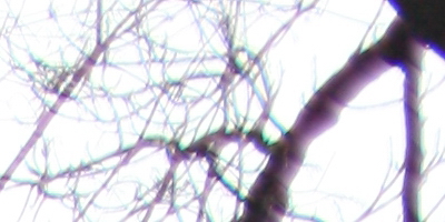 Canon EF 35mm f/1.4L USM