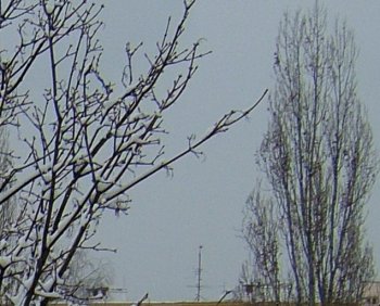 Kompakt se šesti miliony "ve stoje"