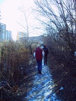 Umax Premier DC4365: Muzika za málo peněz