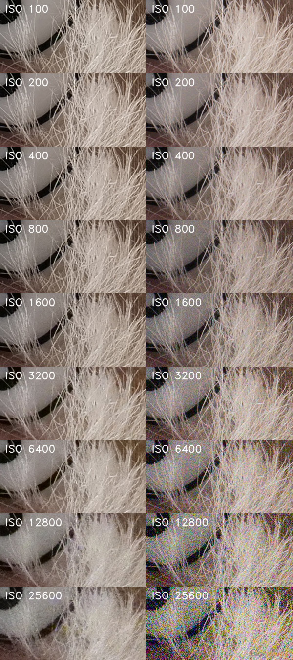 Panasonic Lumix G9: skutečně výborný