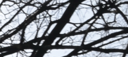 Nikon AF-S DX NIKKOR 16-85mm f/3.5-5.6G ED VR