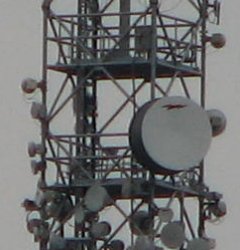 Decentní upgrade PowerShotu S2 IS v praxi