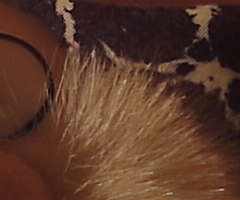 Sony Cyber-shot WX1: Vypilovaný drobek