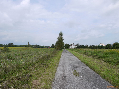 Panasonic Lumix G2: král ergonomie