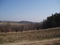 Olympus Camedia C-470 Zoom: Americký D-590