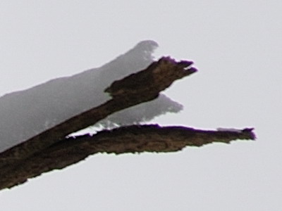 Dva objektivy nebo jeden ultrazoom?