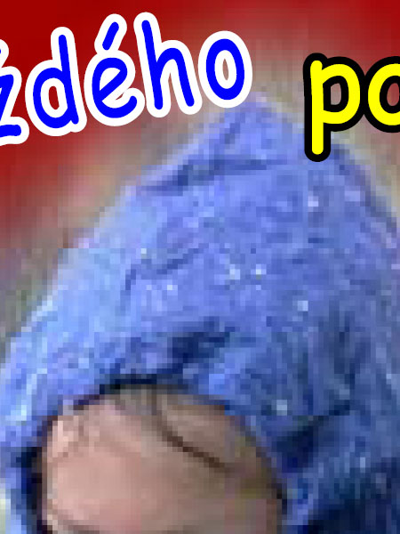 Formáty pro ukládání fotografií - 12.díl: PDF