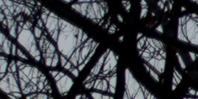 Sony DT 16-50mm F2.8 SSM