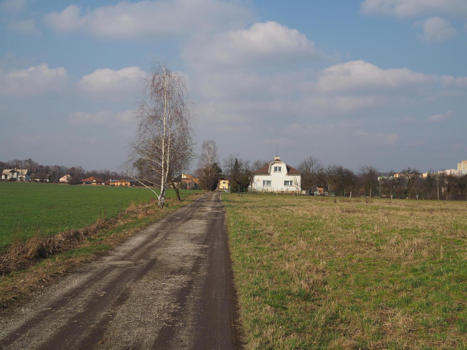 Olympus M.Zuiko Digital 25mm 1:1.8