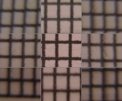 Sigma DP2: otestovali jsme Foveon!