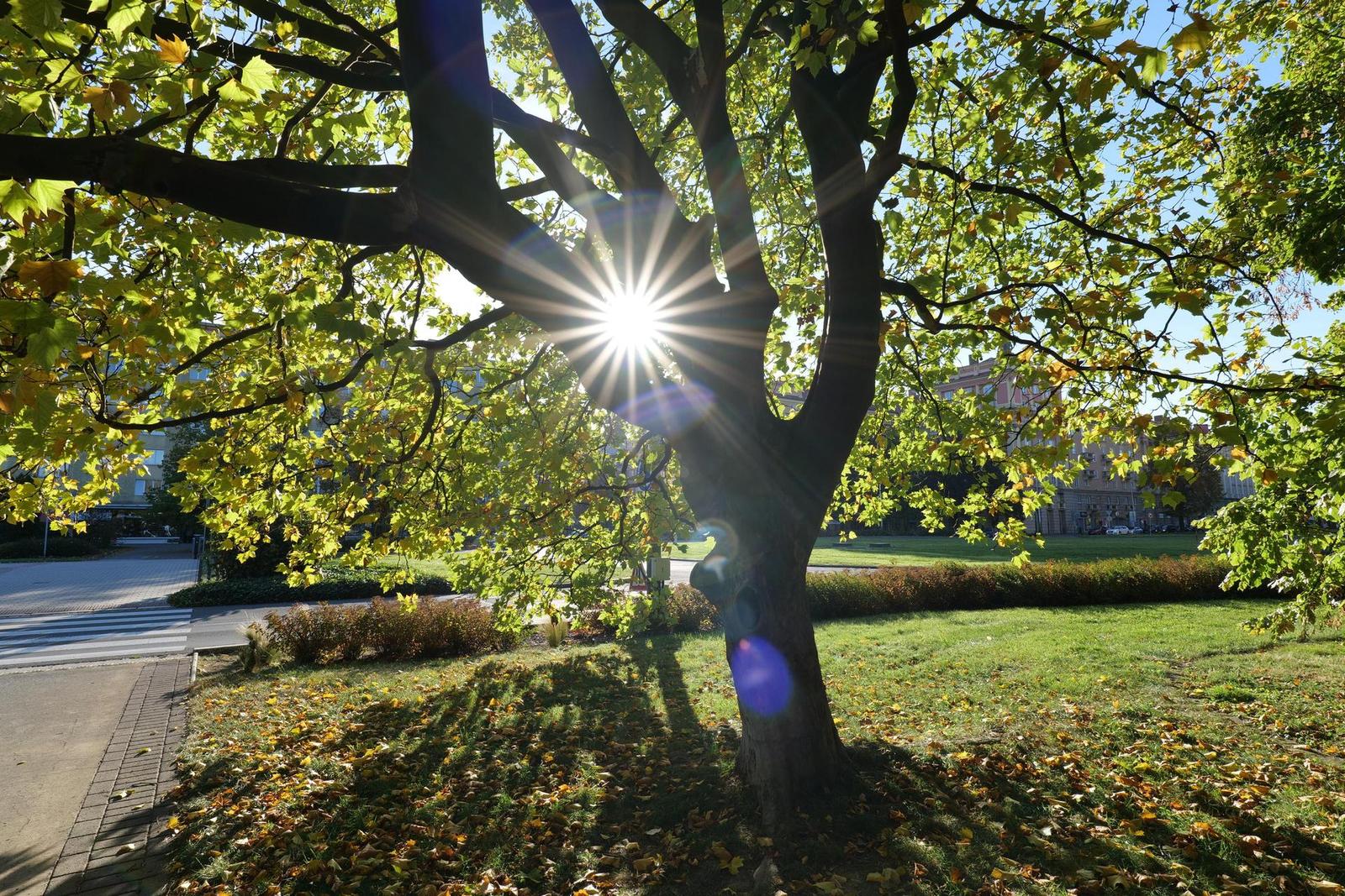 Panasonic Lumix S 18mm F1.8