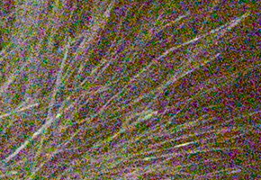 Sony NEX-5R: fázový posun k lepšímu?