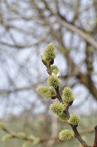 Postačí setový objektiv? Nikon vs. Sigma a Tamron