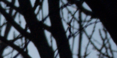 Nikon 1 NIKKOR 30-110mm 1:3,8-5,6 VR