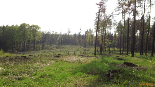 Sony Bloggie Touch: videokamera fotoaparátem?