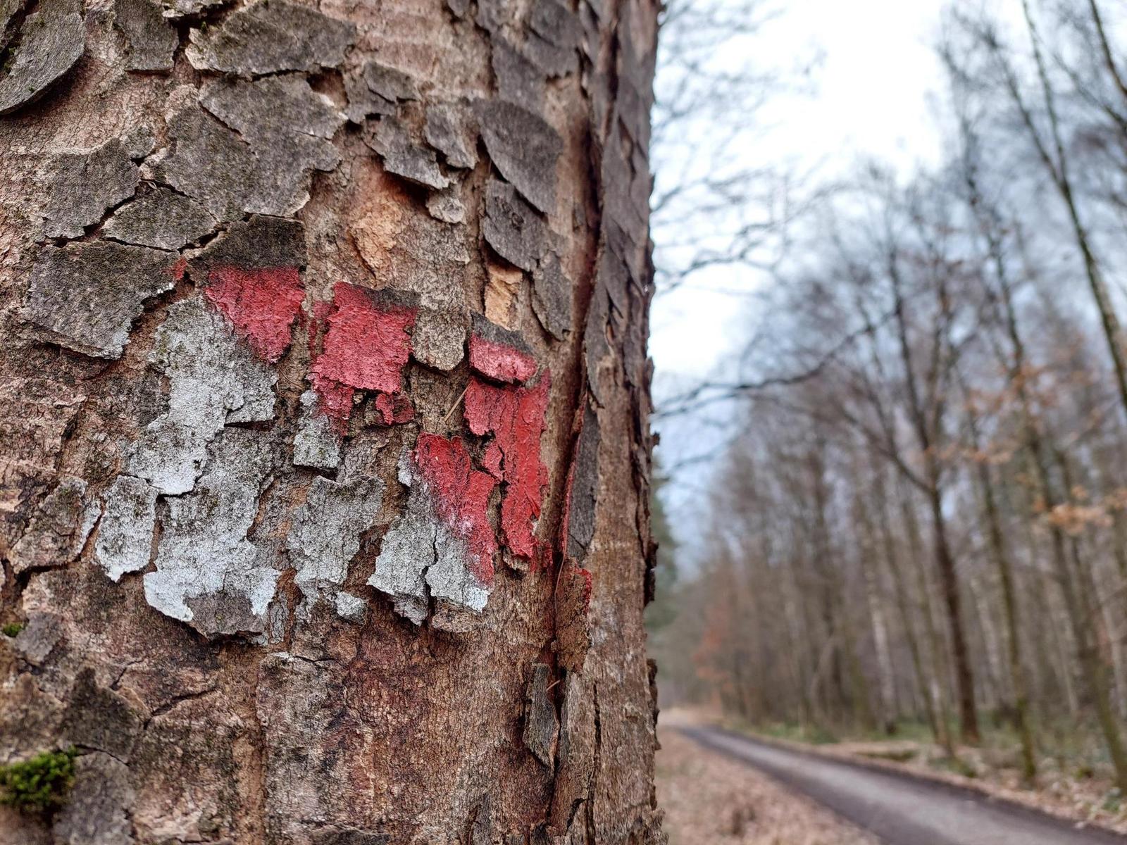 Samsung Galaxy A52s 5G: populární univerzál