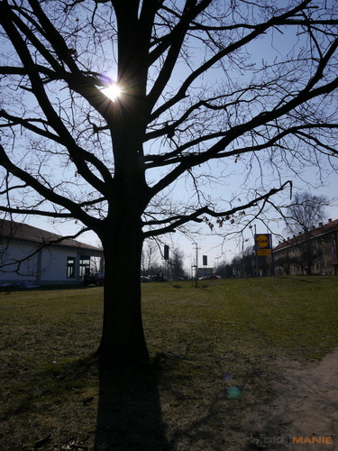 Panasonic LUMIX G VARIO 7-14mm F4.0