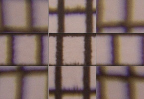 Tamron 16-300mm f/3.5-6.3 Di II VC PZD Macro