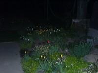 Téma pro tento měsíc - Jak fotí fotomobily, díl II.