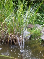 Kodak EasyShare DX7440: Elegantní a šikovný